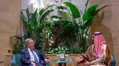 ولي العهد السعودي يبحث مع أمين عام الأمم المتحدة مستجدات الأوضاع