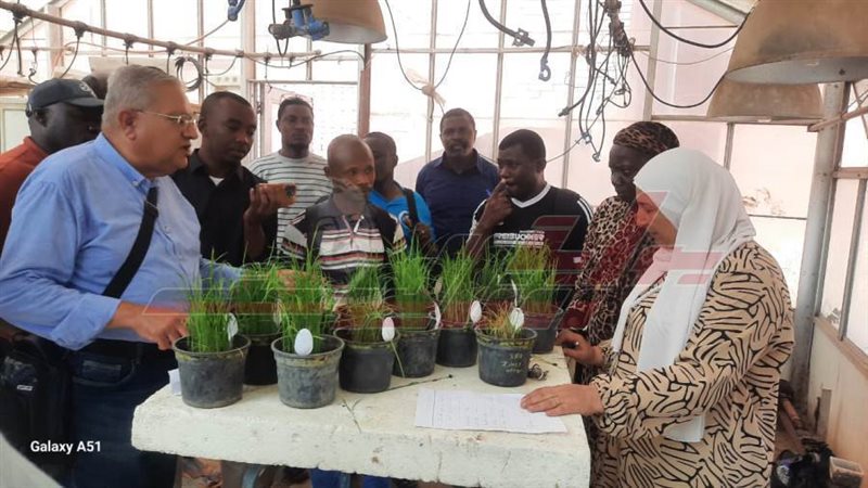 الوفود الأجنبية