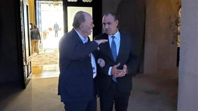 وزير الخارجية يؤكد دعم مصر الكامل لدور السلطة الفلسطينية