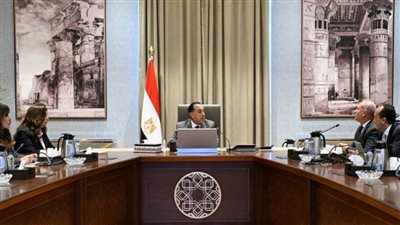 رئيس الوزراء يستعرض مقترحات تطوير المنطقة المحيطة بالقلعة 