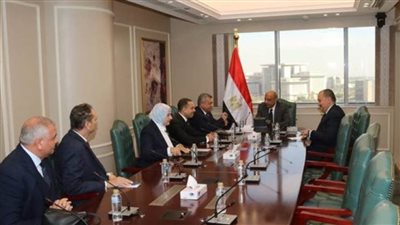 وزير الكهرباء يبحث مع وفد من لجنة الطاقة والبيئة بالشيوخ جهود الارتقاء بجودة الخدمات المقدمة