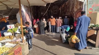 الوادي الجديد تطرح شنطة الخير للمواطنين بـ100 جنيه