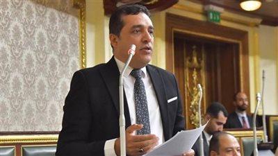 نائب: توجيهات الرئيس السيسي بشأن حقوق الإنسان تعزز الديمقراطية والاستقرار الوطني