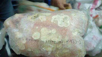 مكتبة الإسكندرية تشهد الاحتفال باليوم العالمي للأشخاص ذوي الإعاقة لعام 2024