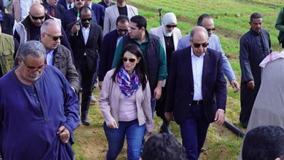 محافظ يستعرض إنجازات مديرية الزراعة خلال عام 2024