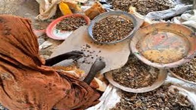 أفريقيا .. أرضُ البُخورِ