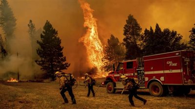 عاجل.. سلطات التحقيق الأمريكية تكشف سبب اندلاع الحرائق في غابات كاليفورنيا