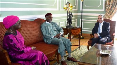 وزير الخارجية: يجب تنسيق الجهود بين مصر والسنغال ونيجيريا لمواجهة التحديات الإقليمية