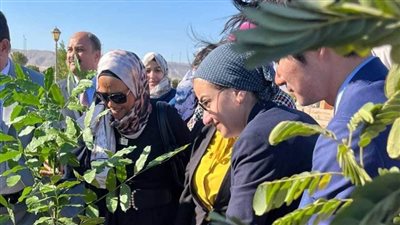 وزارة البيئة تطلق حملة كبرى بالغردقة لزراعة ٢٠٠٠ شجرة مستديمة الخضرة وتتحمل قلة المياه