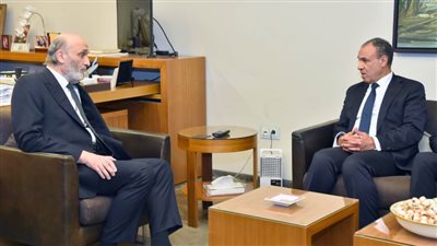 وزير الخارجية: نطالب بالانسحاب الفوري للقوات الإسرائيلية من جنوب لبنان 