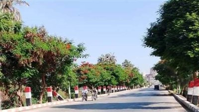 حملات مكثفة للنظافة وتشجير وصيانة دورية لأعمدة الإنارة بمراكز المنيا