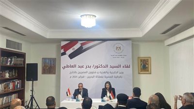 وزير الخارجية: الدولة نولي اهتماما كبيرا بالجاليات المصرية بالخارج