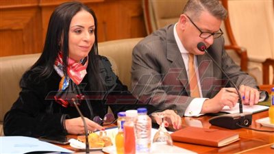 وزيرة التضامن الاجتماعي أمام لجنة حقوق الإنسان بمجلس النواب