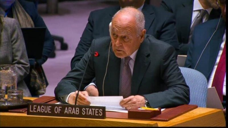 أحمد أبوالغيط أمام