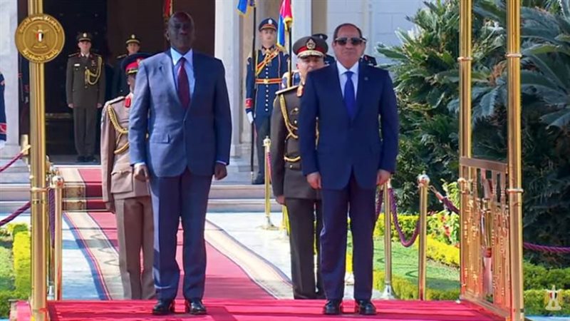 الرئيس السيسي يستقبل