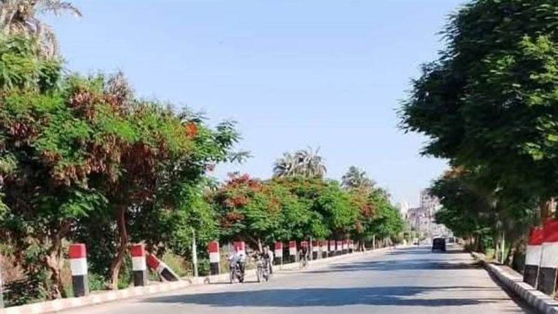 حملات للنظافة والتشجير