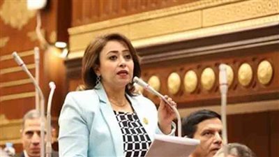 تضامن الشيوخ: قانون العمل الجديد يحمي العمال ويشجع الاستثمار في مصر