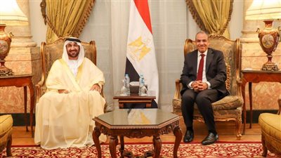  تفاصيل لقاء وزير الخارجية ورئيس البرلمان العربي بالقاهرة