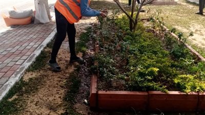 استمرار أعمال رفع كفاءة طريق عمارة السياحي بالتعاون بين حي أول مدينة الإسماعيلية وجهاز التطوير والتجميل 