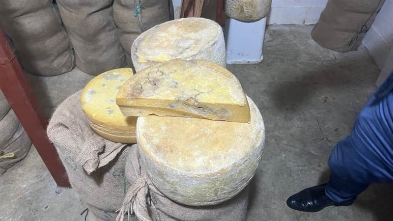 محافظة الإسكندرية