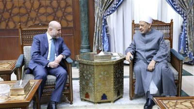 الإمام الأكبر: الأزهر لن يدخر جهدًا في التعريف بحقوق الشعب الفلسطيني 