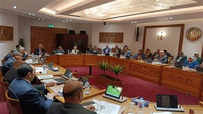 انعقاد اللجنة الدائمة لمتابعة العلاقات المصرية- الأفريقية