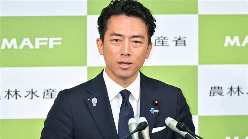 وزير الدفاع الياباني