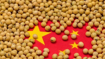الصين تبيع كميات كبيرة من فول الصويا من احتياطياتها الحكومية