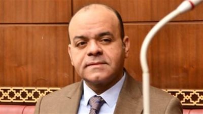 عضو مجلس الشيوخ: الحشد برفح ظهر بصورة حضارية... دليل على «الوعي الشعبي» بالقضية الفلسطينية