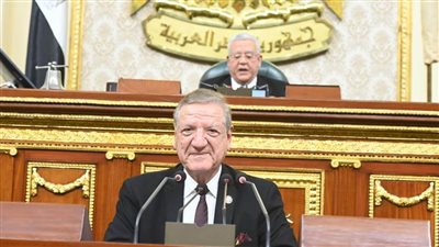  مطالبات برلمانية بتنفيذ توصيات الجهاز المركزي للمحاسبات