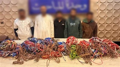 أمن القاهرة يوجه ضربات موجعة لعصابات 