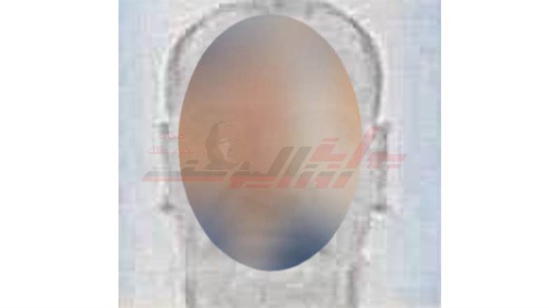 الشخص المقتول ببورسعيد