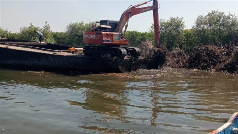 جانب من حملة الإزالة