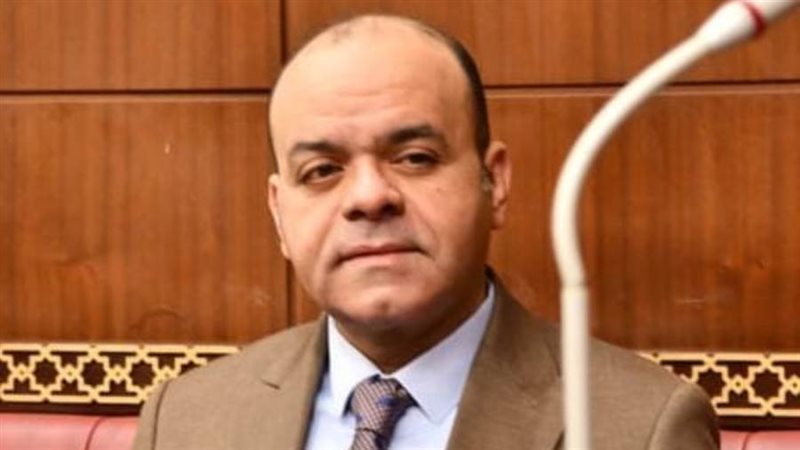 النائب عمرو القماطي