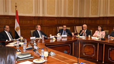 وزير الخارجية: المجتمع الدولي أقر بالجهود والإنجازات المصرية في مجال حقوق الإنسان 