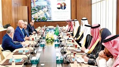 كامل الوزير يلتقي الجاسر لبحث فرص التعاون في قطاعات النقل والتكامل البحري 