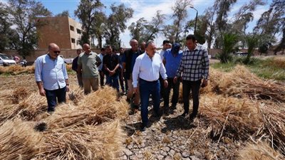 محافظ أسيوط: توريد 46 ألف طن من القمح وتيسيرات كبيرة للمزارعين لدعم الأمن الغذائي