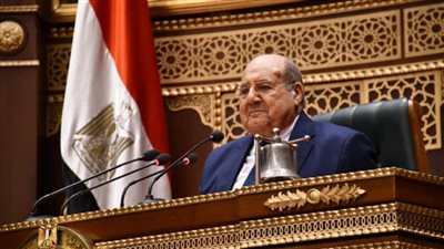 رئيس مجلس الشيوخ يؤكد عمق العلاقات الوثيقة والمتميزة بين مصر وكوت ديفوار