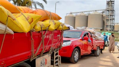 إرتفاع معدلات توريد القمح بالبحيرة لأكثر من 162 ألف طن بالشون والصوامع