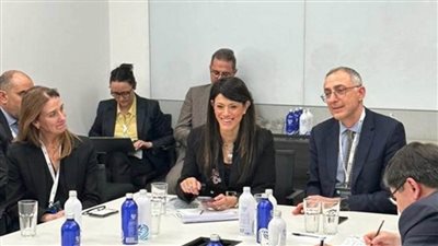 المشاط: برنامج «نُوفّي» يمثل محور الارتباط بين مشروعات المياه والغذاء والطاقة