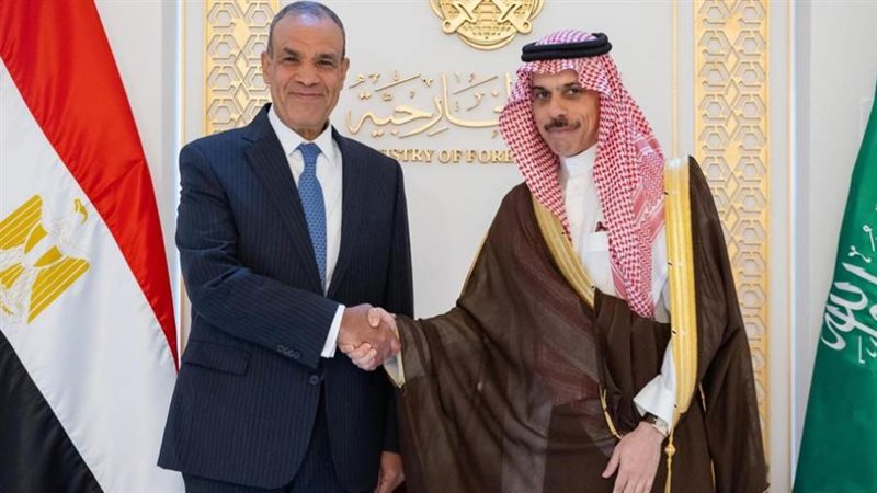 وزير الخارجية ونظيره