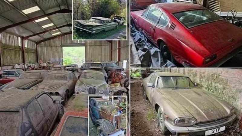 سيارات كلاسيكية بالريف