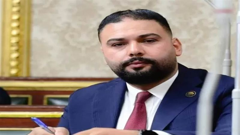 النائب إبراهيم الديب