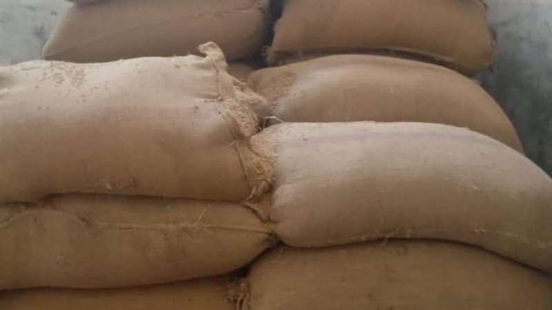 توريد القمح بالمنيا