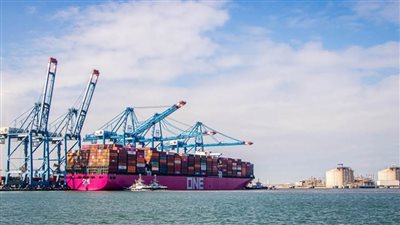 ميناء دمياط: استقبال 13 سفينة ومغادرة 11 أخرى