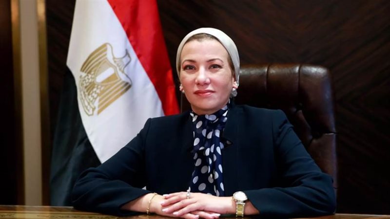 الدكتورة ياسمين فؤاد