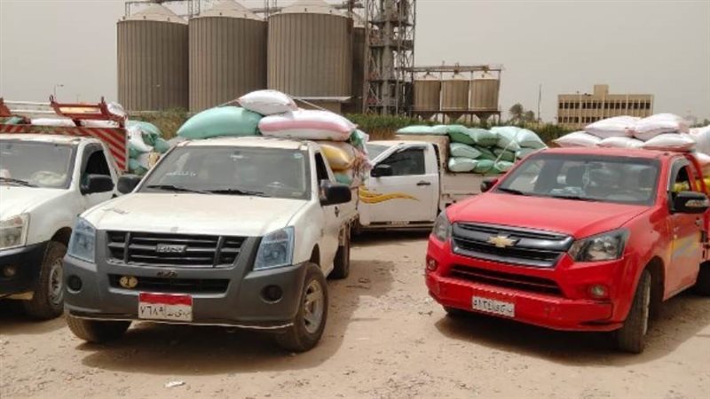 توريد القمح بالبحيرة