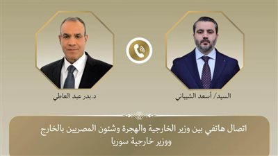 وزير الخارجية يؤكد رفض مصر الكامل للانتهاكات الإسرائيلية المتكررة للسيادة السورية