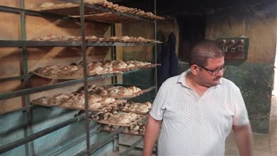 ضبط 12 مخالفة في حملات على مخابز قرى مركز بني سويف