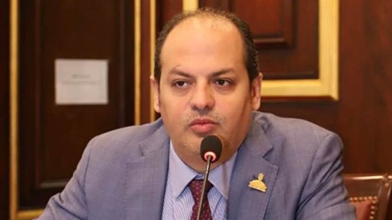 النائب أحمد عبد الماجد